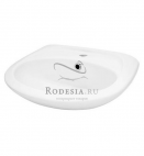 ������ ���� WH110451 ���������� 50x36