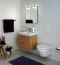 Gustavsberg Hygienic Flush WWS 5G84HR01 ������ ��������� � �������� ���������